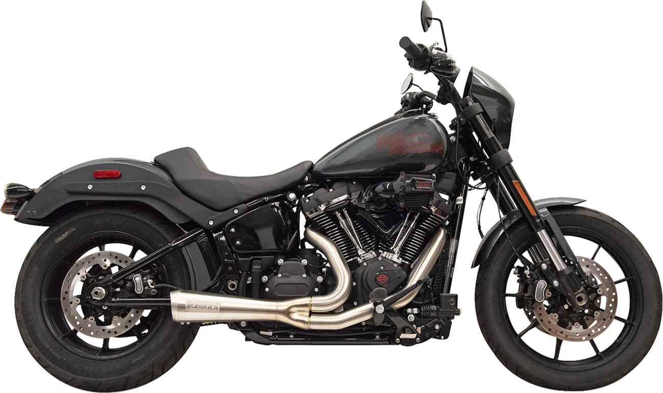 EXHAUST SHORT RIPPER 2:1 STAINLESS 49 STATE M8 SOFTAIL