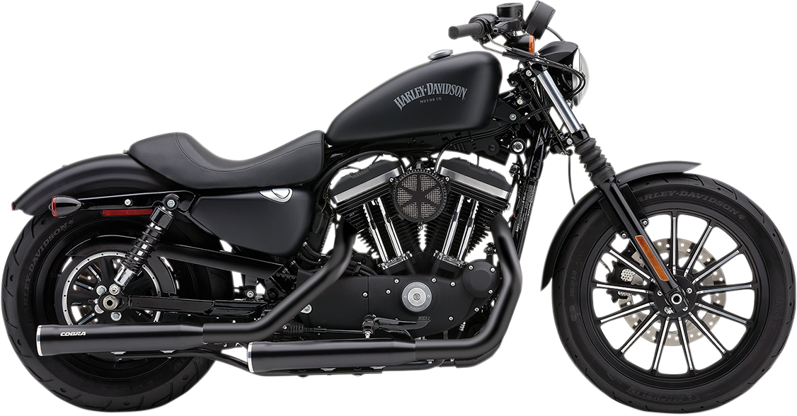 MUFFLERS 3" RPT R BLK XL