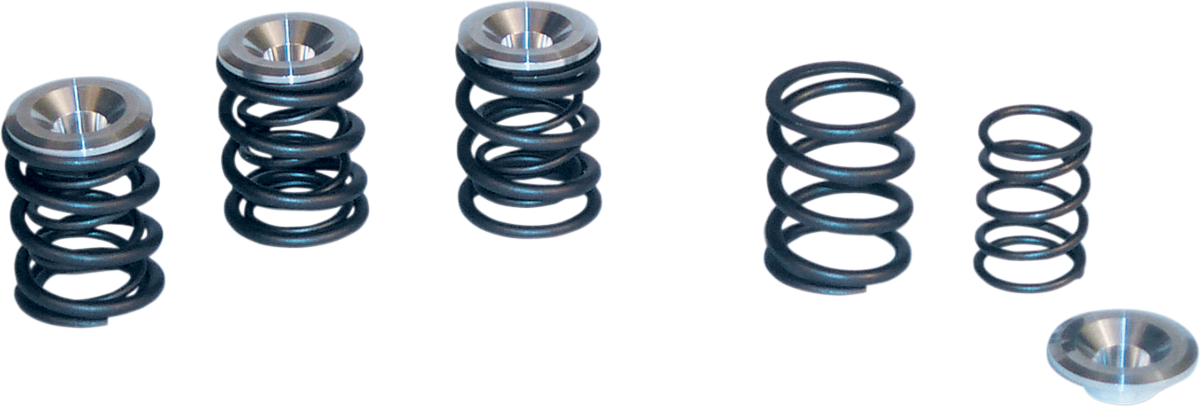 BT VLV SPR KIT 48-84
