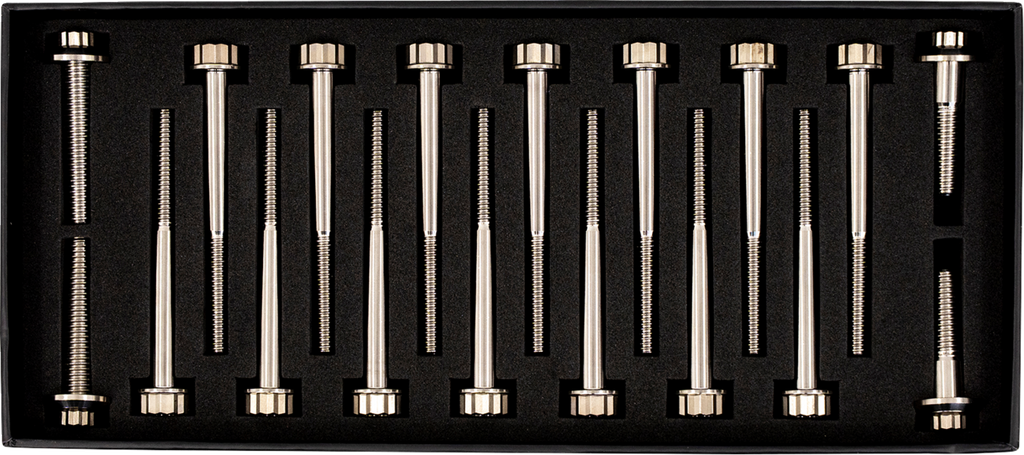 HARWARE KIT TITANIUM M8 CRANKCASE