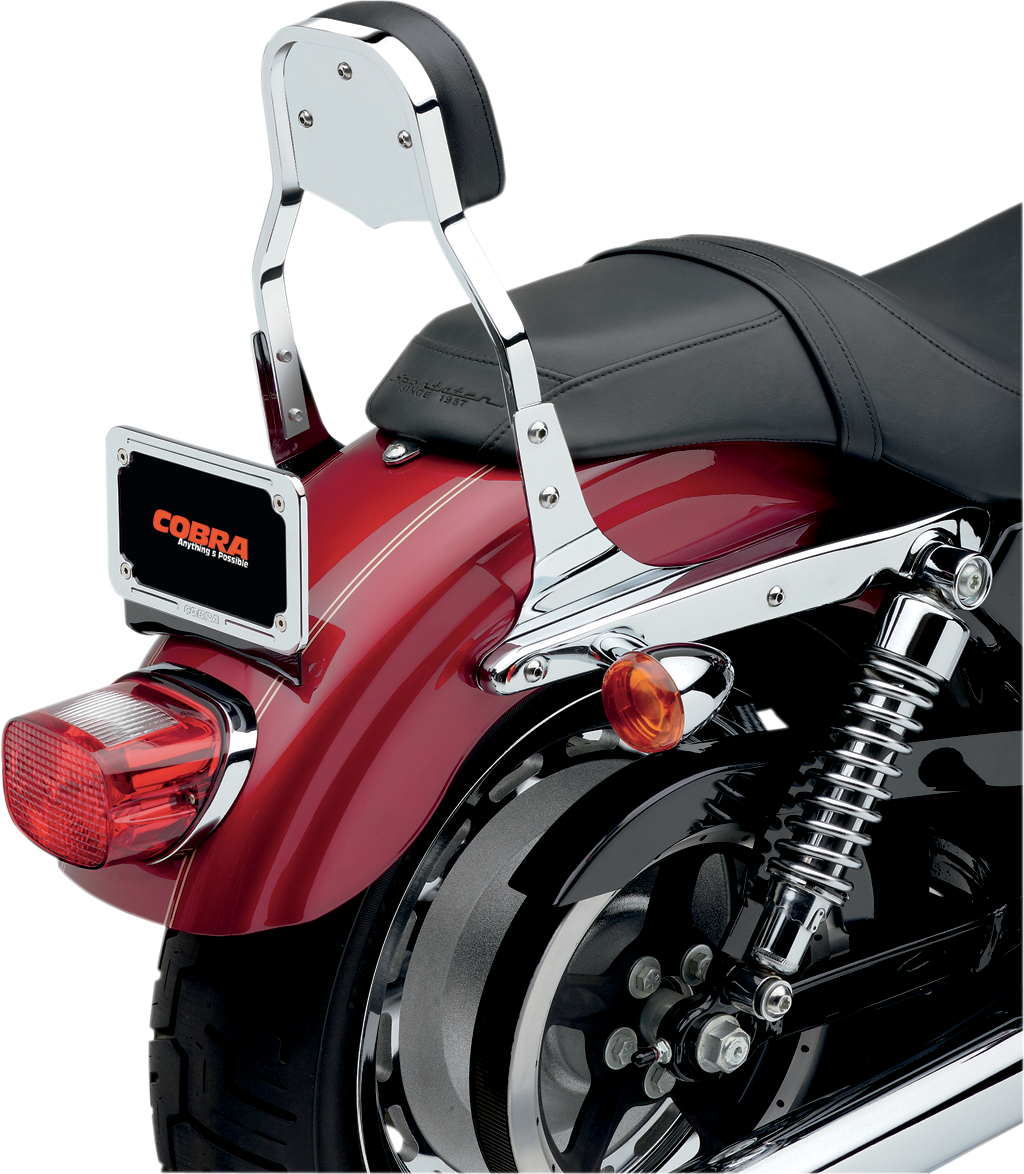 SISSY BAR MINI FLSTF/FXST