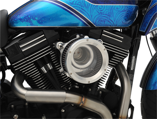 AIRCLEANER ASULT EFI RAW