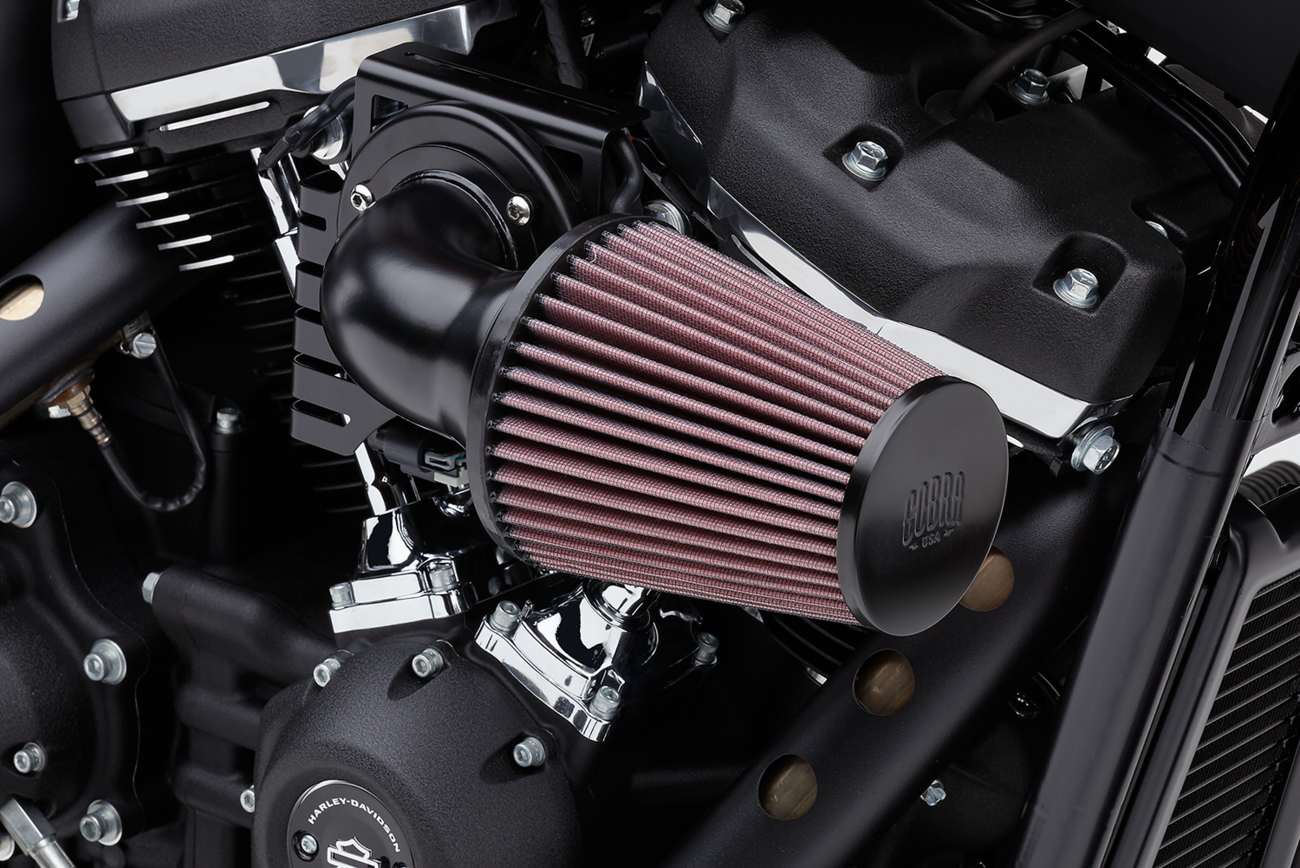 AIR FILTER CN B/B 08-16FL