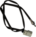 SENSOR O2 12MM M8 17+ GRY