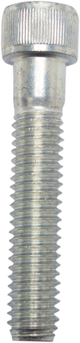 SCREW 3/8-16X2" 50-0164