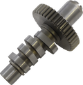 S&S 561 CAM 84-99 EVO