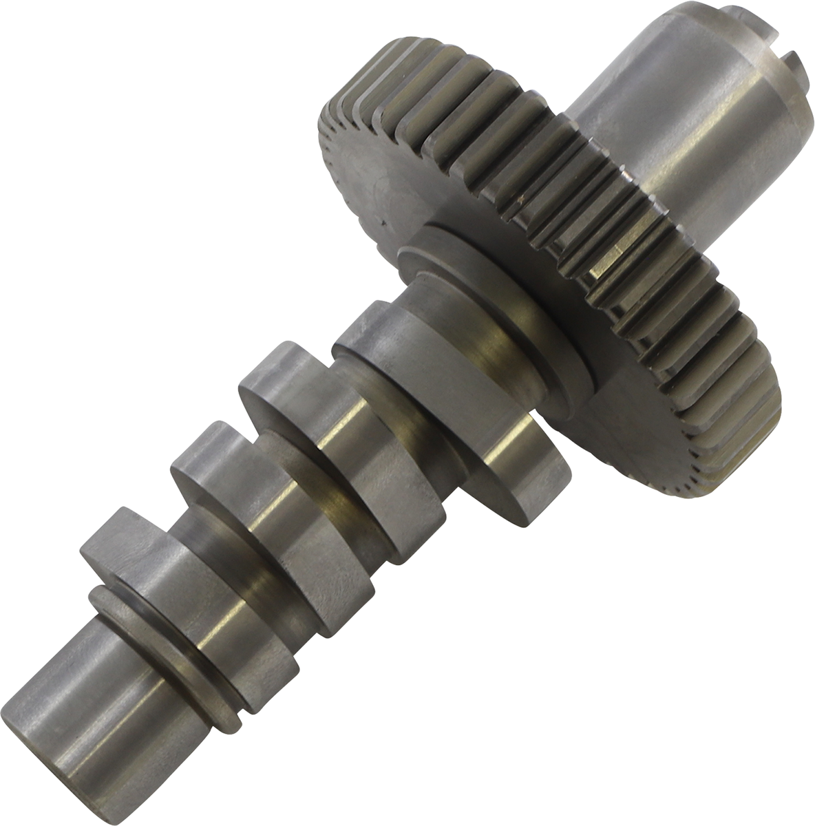 S&S 561 CAM 84-99 EVO