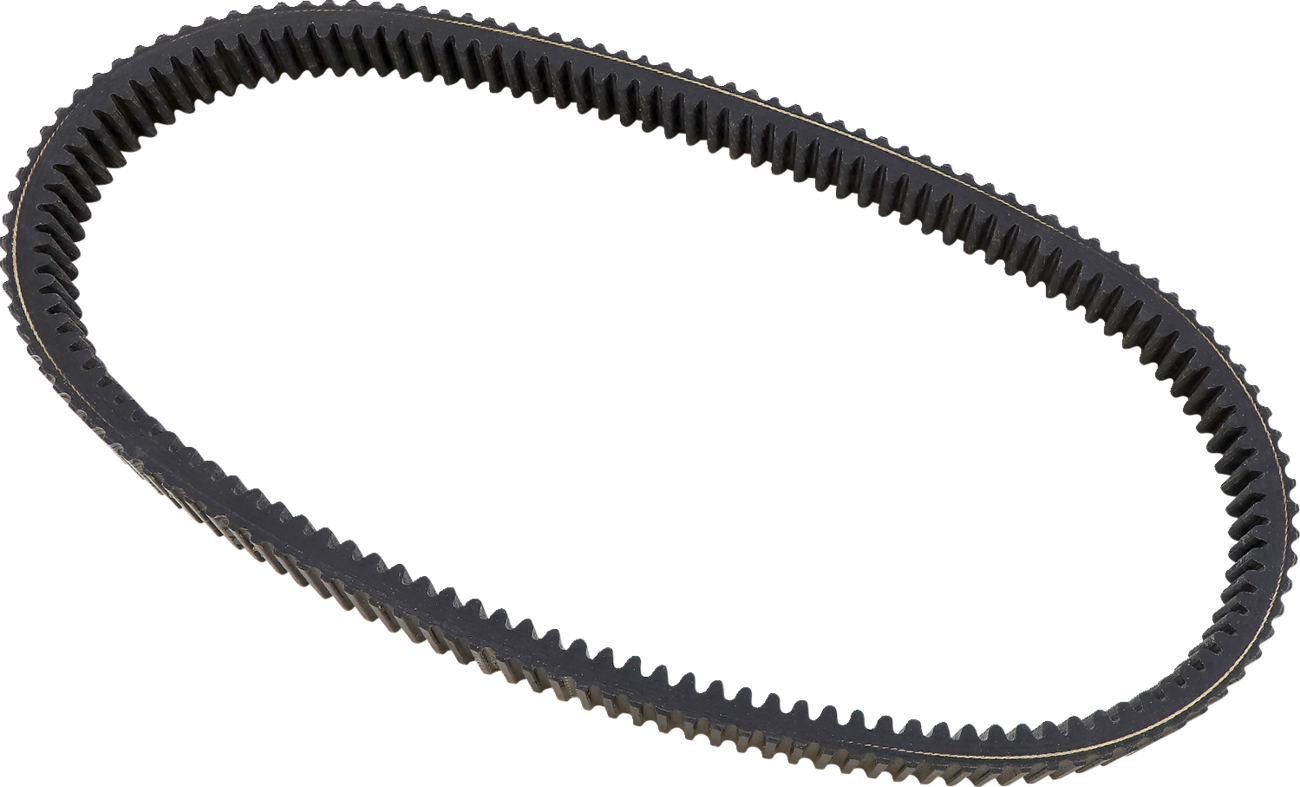 BELT PWR SR WILDCAT 18-21