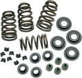 0.650" Sidewinder® Valve Spring Kit