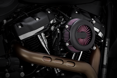 AIR CLEANER RG BL L-ST,FL