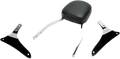 SISSY BAR STD VN1700 CL
